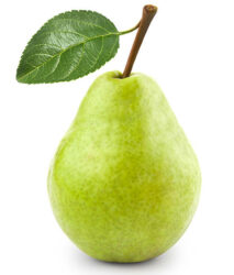 Barbara Rittmannsberger Diätologie